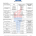 Scope Page 2 of 7