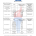 Scope Page 3 of 7