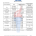 Scope Page 4 of 7