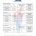 Scope Page 5 of 7