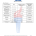 Scope Page 6 of 7